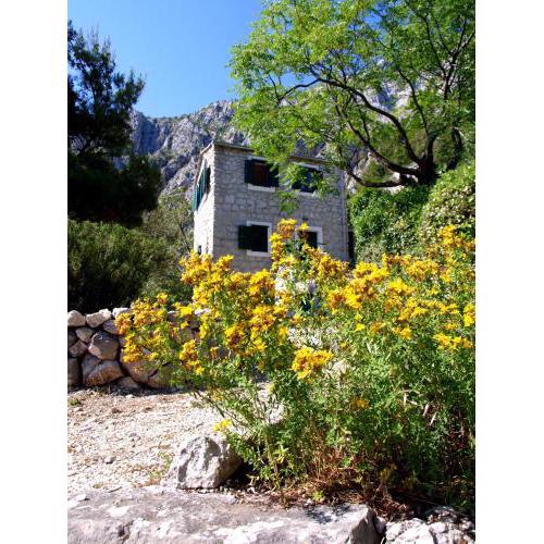 Holiday Home Dalmatinska Kuća