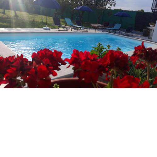 Holiday Home Dioniza