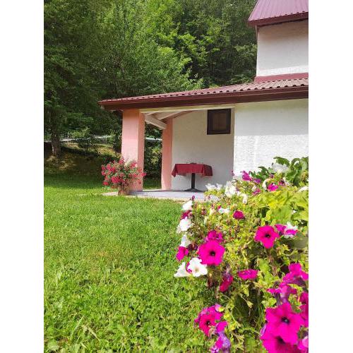 Holiday home in Trnovac 17132