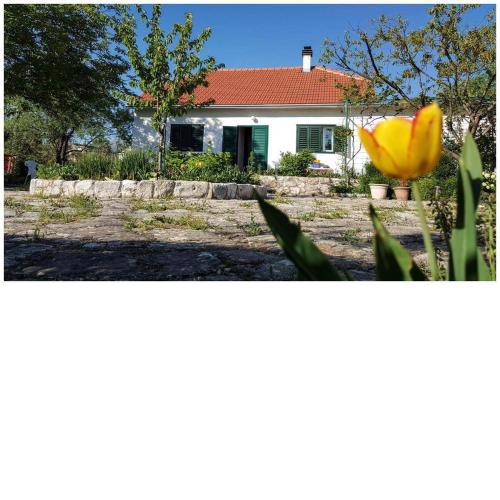 Holiday home "Kike & Mara"