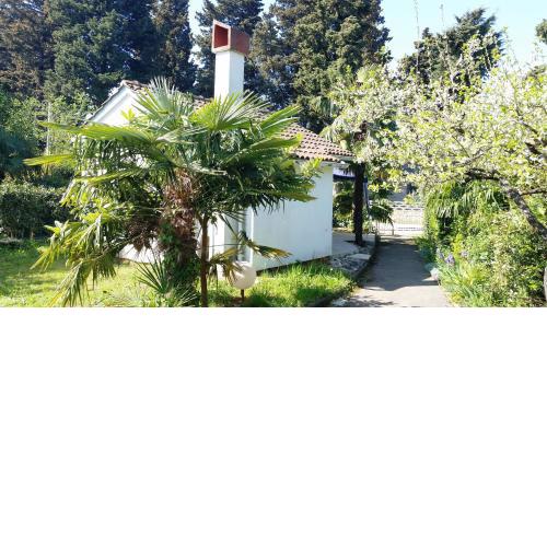 Holiday Home More