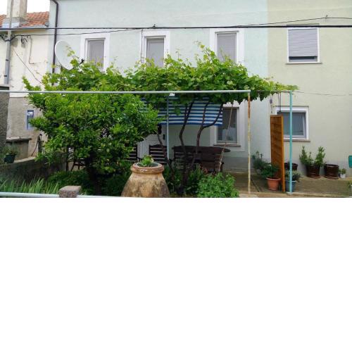 Holiday Home Olib