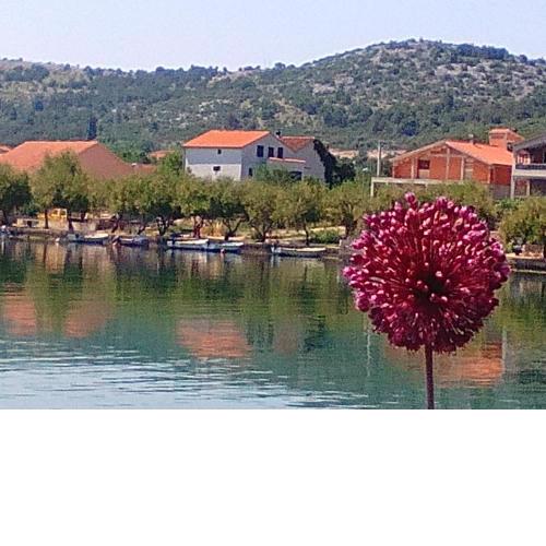 Holiday Home Oliva