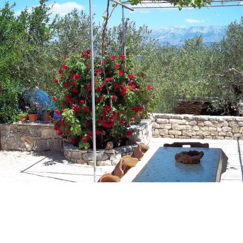Holiday Home Ruža
