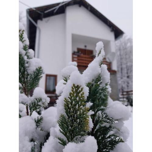 Holiday home Tilia
