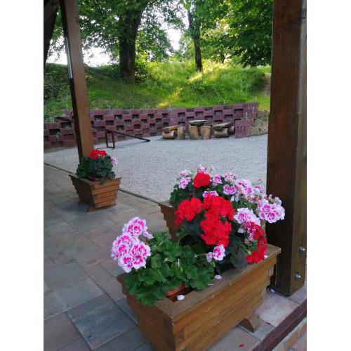 Holiday Home Tržan