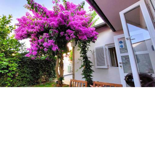 Holiday home Zora - family vacation house near protected area of the Nature Park Kamenjak, with green yard, WiFi, Air-con
