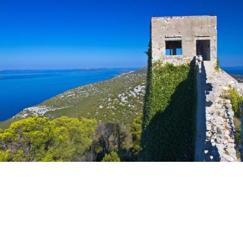 Holiday house in Preko with sea view, terrace, air conditioning, WiFi (4571-1)