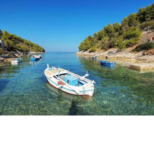 Holiday House Parive