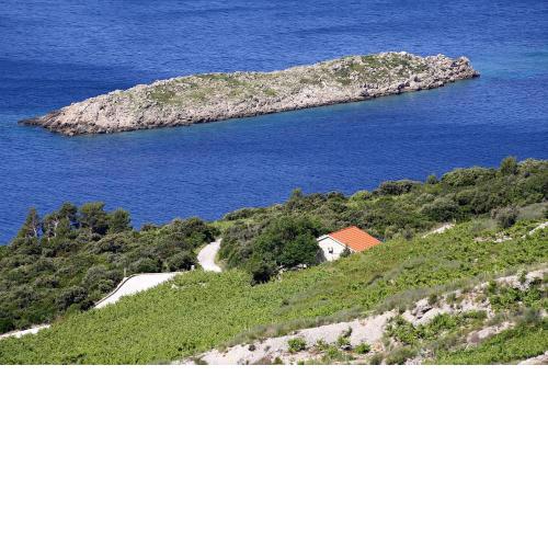 Holiday house with a parking space Dingac - Pristranj, Peljesac - 660