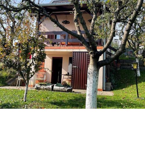 Holiday house with a parking space Krapinske Toplice, Zagorje - 20722
