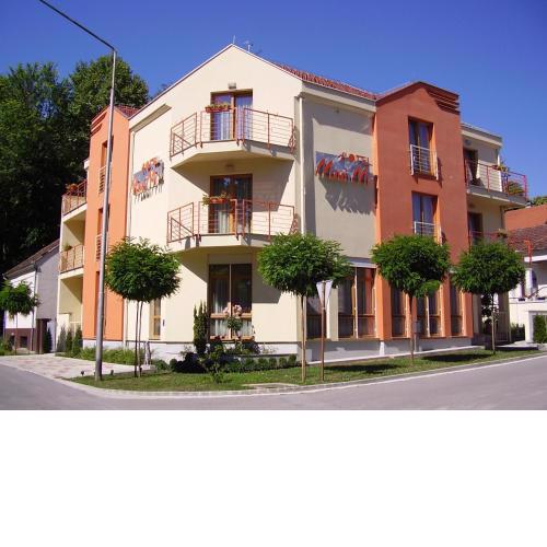 Hotel Mladimir