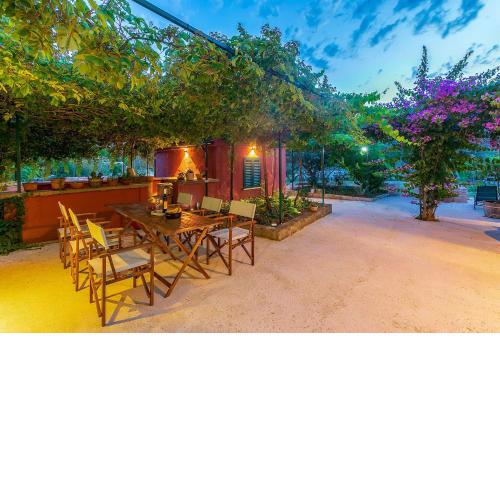 House Bougainvillea