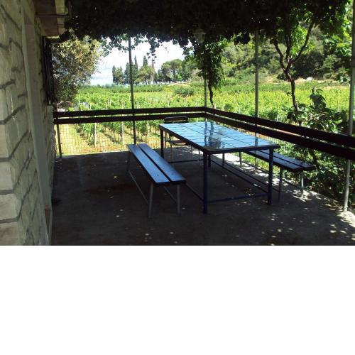 House Lidija