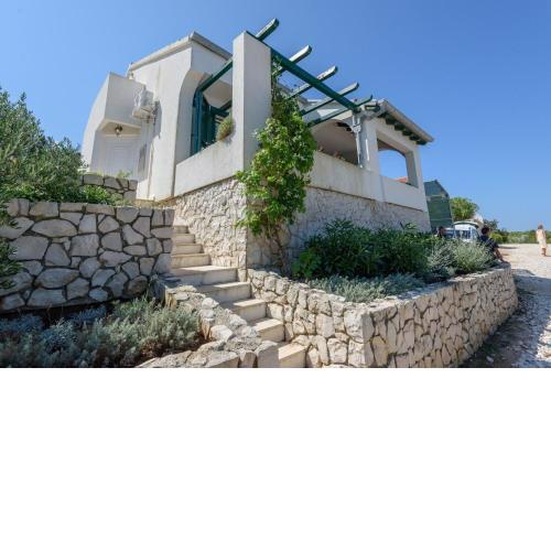 House Mirta