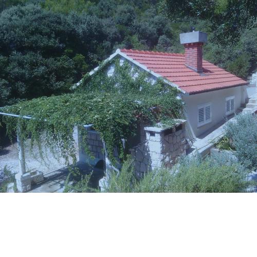 House Rasohatica Tare