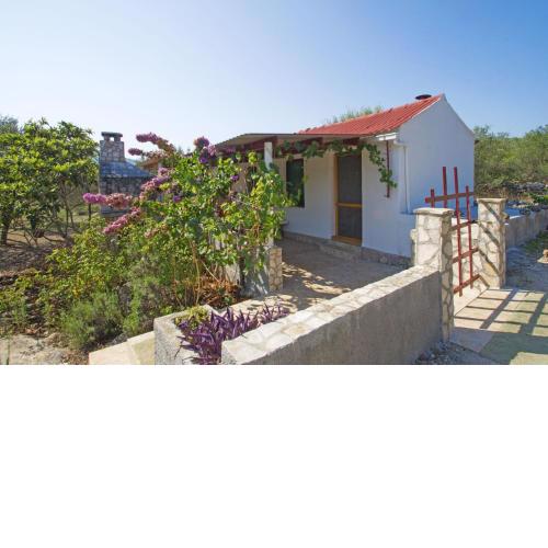 House Senka1