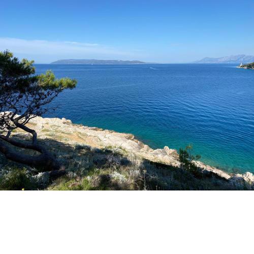 I and A Cozy MAKARSKA