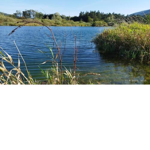 Izvor