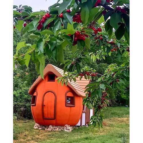 Krka Magic Pumpkin