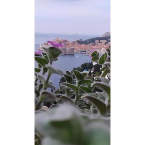Lea - sea&city view Apartment with Terrace