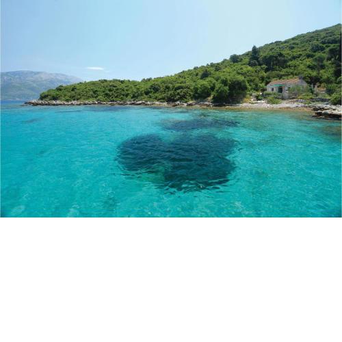 Lovely Home In Korcula With Kitchen