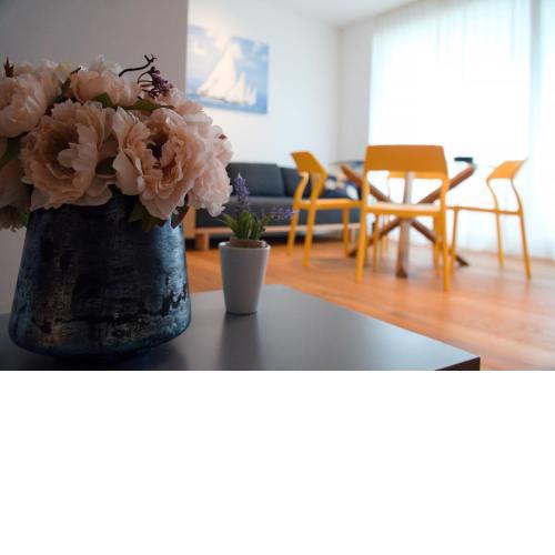 Luxury apartment Mon Soleil