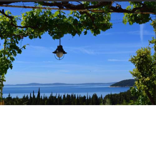 Mediterranean House - Forest Marjan