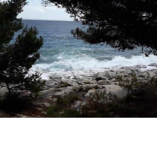 Murter Pod Raduč apartman