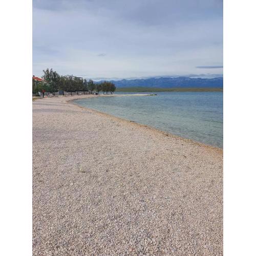 New apartment Vir, 200m from beach