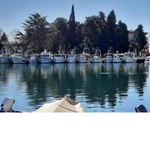 Old Harbour