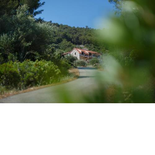 Olive Hill Vintage House