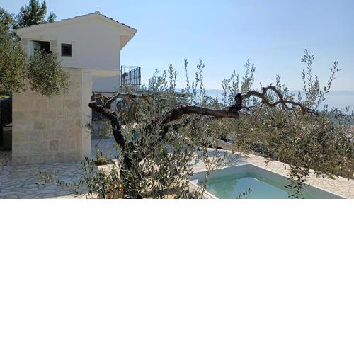 Olive Stone House