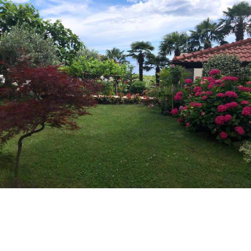 Palm Garden Apartment