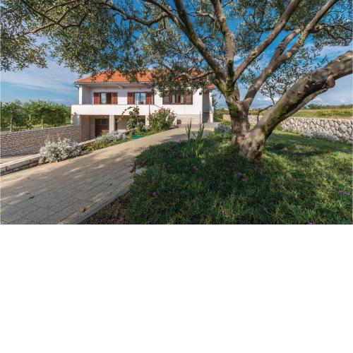 Pet Friendly Home In Privlaka With Wifi