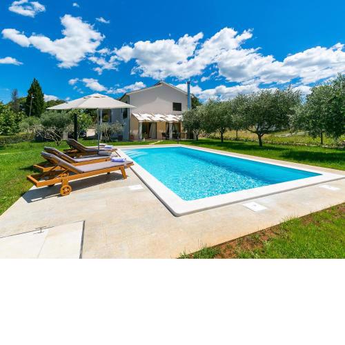 Pool Premium Apartment