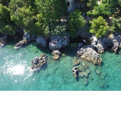 Premium Apartments Punta Kolova
