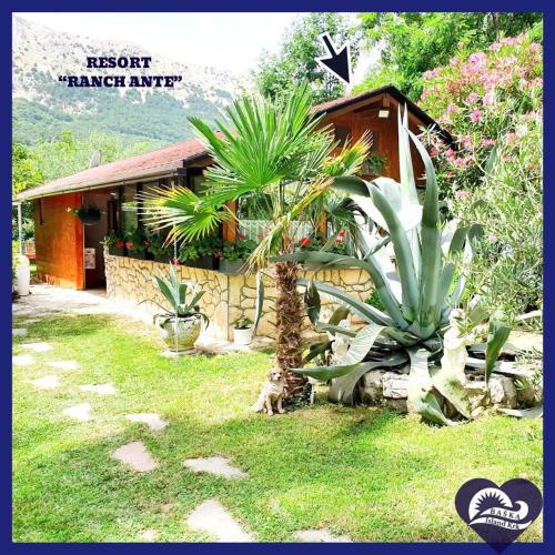 Resort "Ranch Ante"