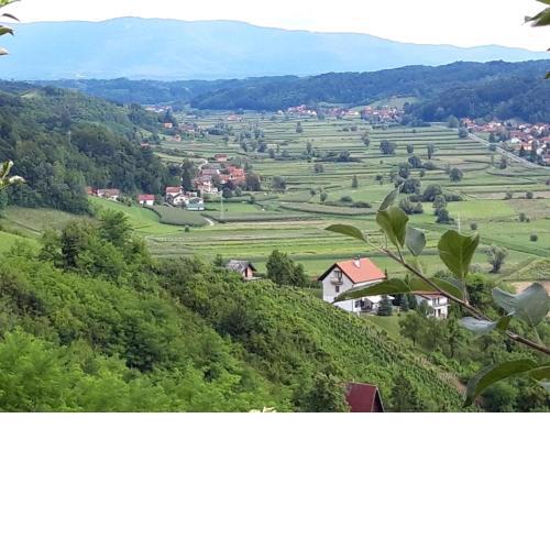 Robinzonski smještaj Tepeš