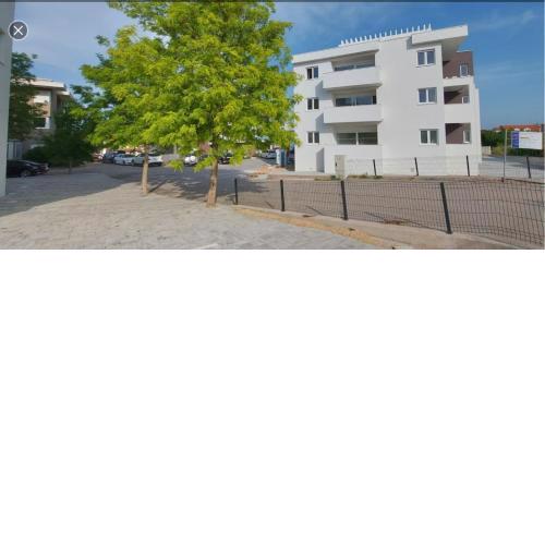 Roko 1