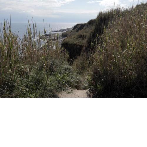 Room in Susak with air conditioning, Wi-Fi (3865-3)