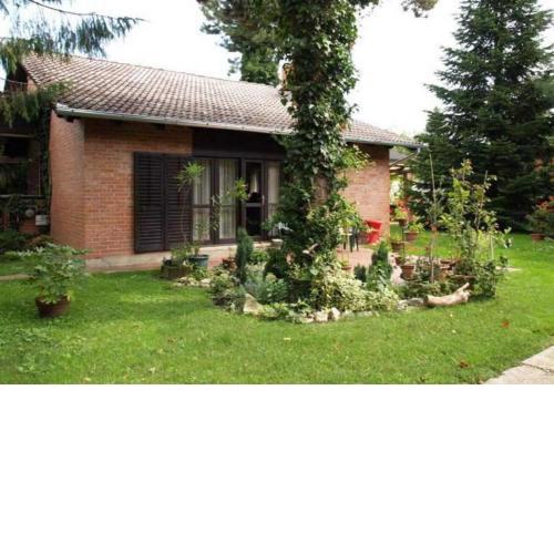Rooms Branka