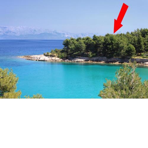 Seaside holiday house Cove Grebisce, Hvar - 3375