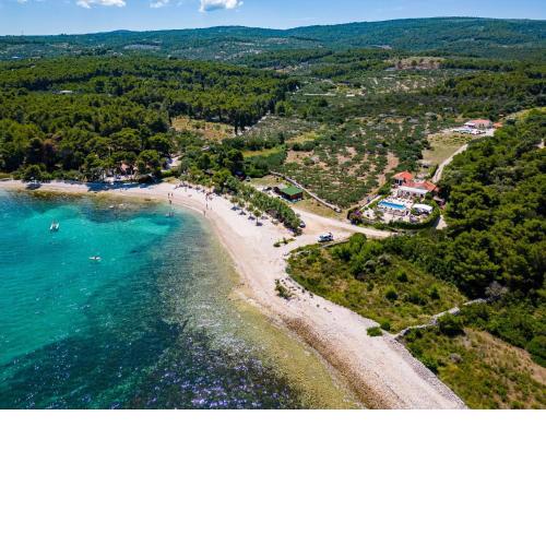 Seaside luxury villa with a swimming pool Mirca, Brac - 16183