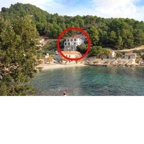 Seaside secluded apartments Cove Torac, Hvar - 8653