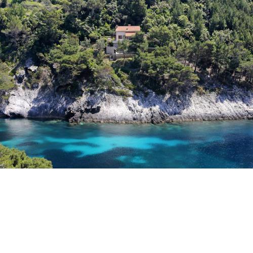 Secluded fisherman's cottage Cove Bacva, Korcula - 9475