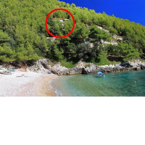 Secluded fisherman's cottage Cove Bratinja Luka, Korcula - 9224