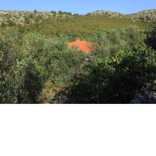 Secluded fisherman's cottage Cove Magrovica - Telascica, Dugi otok - 8122