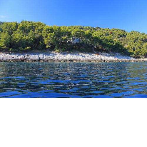 Secluded fisherman's cottage Cove Spiliska, Korcula - 9142