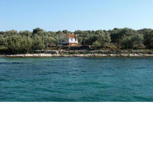 Secluded fisherman's cottage Krknata, Dugi otok - 397